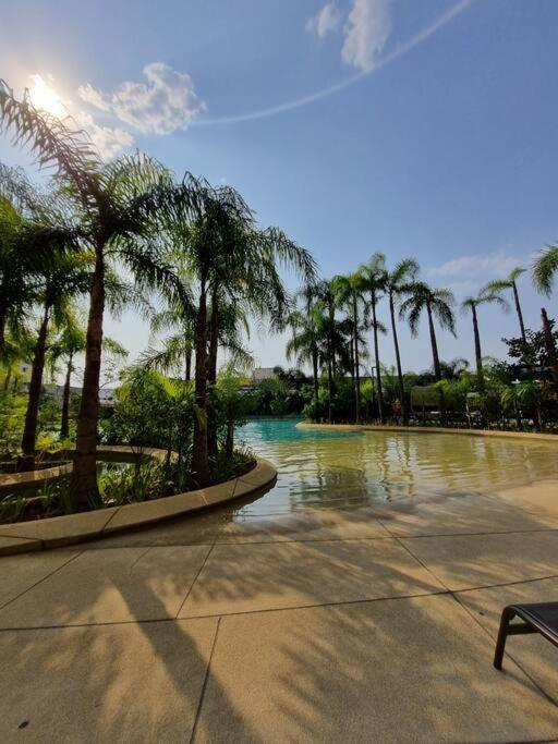 Ape 57 Mts Com 2 Quartos - Condominio Bras! Apartamento São Paulo